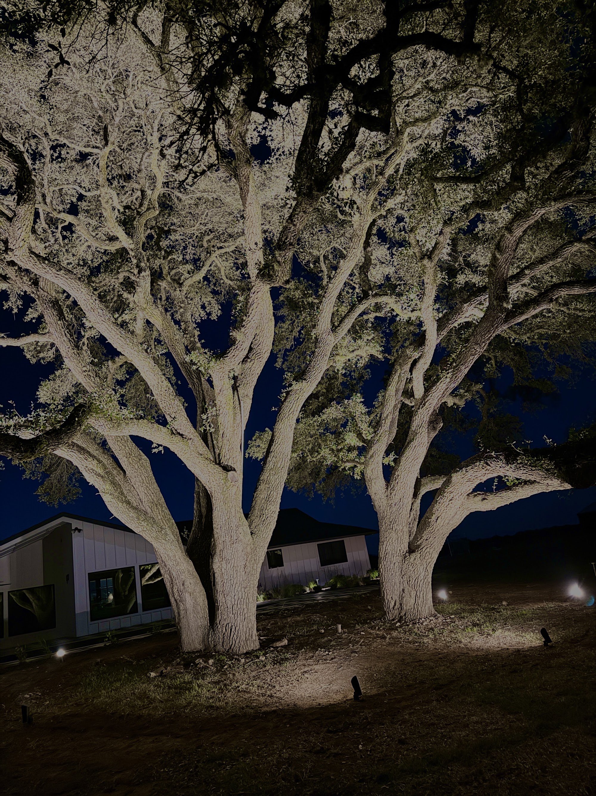 Stardust Ranch estate at dusk